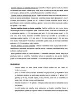 Prezentācija 'Fiziskā vardarbība pret sievieti (sievu) krievu ģimenēs', 18.