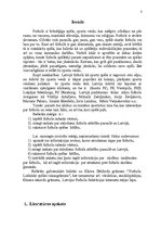 Referāts 'Futbola vēsture un pamati', 3.