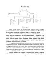 Referāts 'Personības attīstības posmi psiholoģijā', 20.