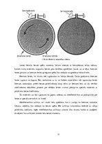 Referāts 'Lentes bremzes raksturojums', 12.