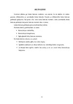 Referāts 'Lentes bremzes raksturojums', 13.