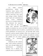 Referāts 'Globalizācija', 10.