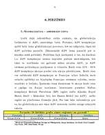 Referāts 'Globalizācija', 31.