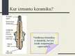 Prezentācija 'Keramika', 17.