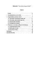 Referāts 'Inovācija organizācijās', 1.