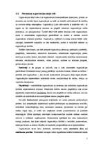 Referāts 'Inovācija organizācijās', 7.