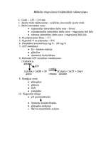 Konspekts 'Bioķīmiskais raksturojums mākslas vingrošanā', 1.