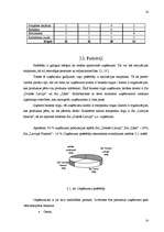 Referāts 'SIA "XXX" mārketinga vides analīze', 12.