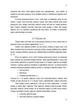 Referāts 'SIA "XXX" mārketinga vides analīze', 15.