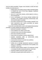 Referāts 'SIA "XXX" mārketinga vides analīze', 17.