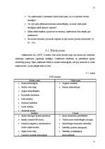 Referāts 'SIA "XXX" mārketinga vides analīze', 19.