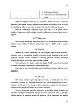 Referāts 'SIA "XXX" mārketinga vides analīze', 20.