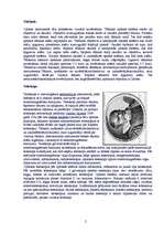 Referāts 'Optiskās ierīces', 2.