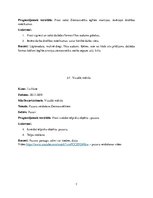 Prakses atskaite 'Prakses atskaite sākumskolā', 7.