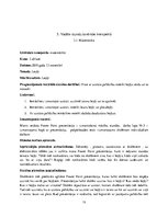 Prakses atskaite 'Prakses atskaite sākumskolā', 13.