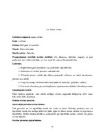 Prakses atskaite 'Prakses atskaite sākumskolā', 21.