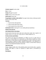 Prakses atskaite 'Prakses atskaite sākumskolā', 24.