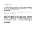 Prakses atskaite 'Prakses atskaite sākumskolā', 28.