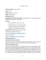 Prakses atskaite 'Prakses atskaite sākumskolā', 31.