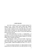 Referāts 'Ražošanas attīstības plāns', 4.