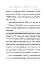 Referāts 'Ražošanas attīstības plāns', 8.