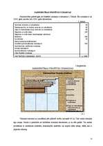 Referāts 'Ražošanas attīstības plāns', 14.