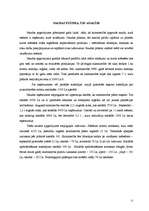 Referāts 'Ražošanas attīstības plāns', 17.