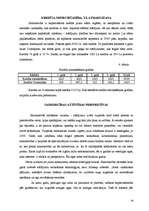 Referāts 'Ražošanas attīstības plāns', 18.