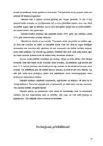 Referāts 'Ražošanas attīstības plāns', 19.