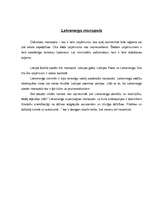 Konspekts 'Latvenergo monopols', 1.