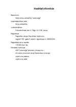 Konspekts 'Latvenergo monopols', 2.