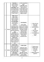 Referāts 'Materiāla blīvums un makrostruktūra', 15.