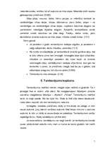 Referāts 'Tamborēšana', 7.