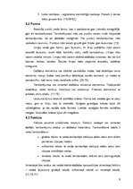 Referāts 'Tamborēšana', 9.