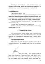 Referāts 'Tamborēšana', 10.