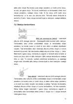 Referāts 'Tamborēšana', 11.