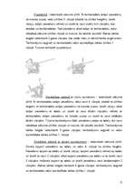 Referāts 'Tamborēšana', 12.