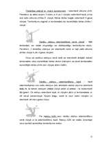 Referāts 'Tamborēšana', 13.