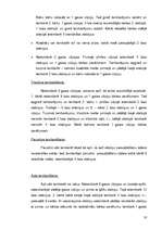 Referāts 'Tamborēšana', 16.