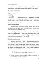 Referāts 'Tamborēšana', 19.