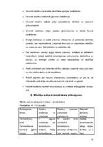 Referāts 'Tamborēšana', 20.