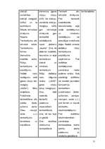 Referāts 'Tamborēšana', 21.