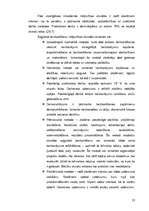 Referāts 'Tamborēšana', 23.