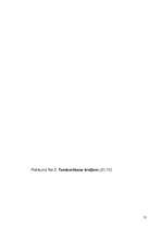 Referāts 'Tamborēšana', 31.