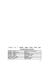 Referāts 'Tamborēšana', 33.