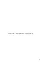 Referāts 'Tamborēšana', 35.