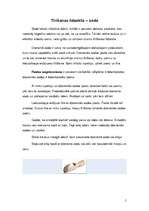 Referāts 'Mājokļa uzturēšana un tīrīšanas līdzekļi', 5.