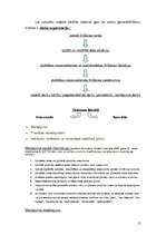 Referāts 'Mājokļa uzturēšana un tīrīšanas līdzekļi', 11.