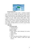 Referāts 'Mājokļa uzturēšana un tīrīšanas līdzekļi', 17.