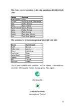 Referāts 'Mājokļa uzturēšana un tīrīšanas līdzekļi', 23.